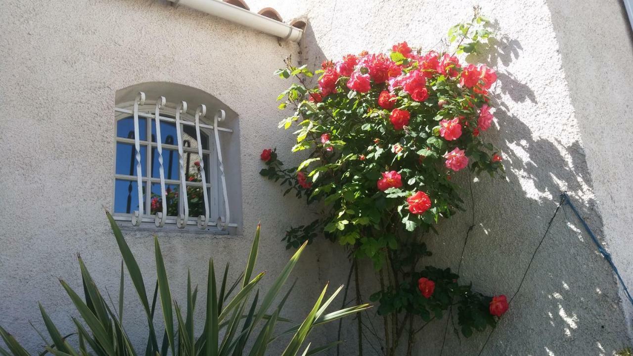Villa Le Clos Fleuri ナルボンヌ エクステリア 写真