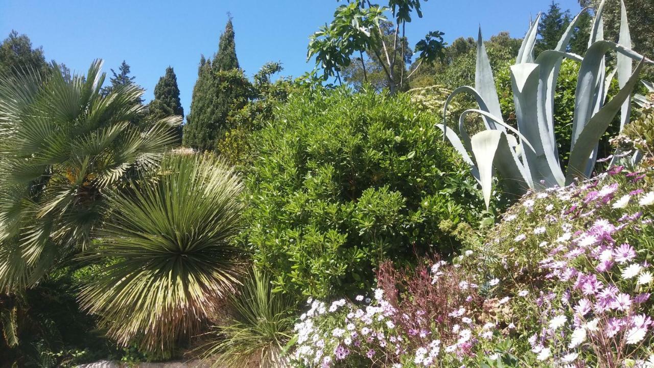 Villa Le Clos Fleuri ナルボンヌ エクステリア 写真